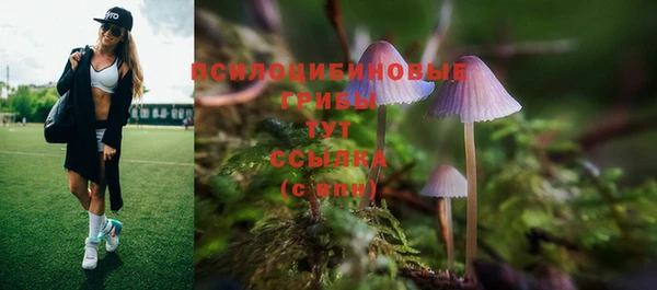 соль ск Армянск