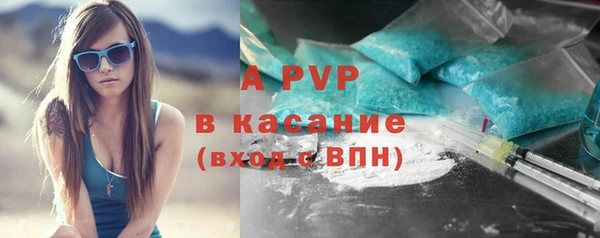 прущие грибы Арсеньев