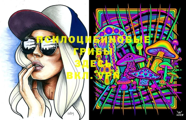 прущие грибы Арсеньев