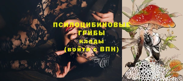 прущие грибы Арсеньев