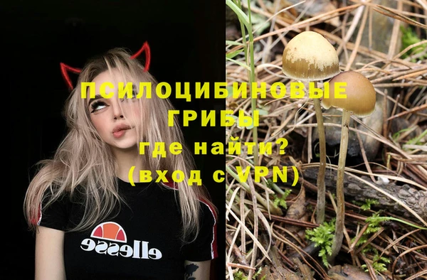 прущие грибы Арсеньев