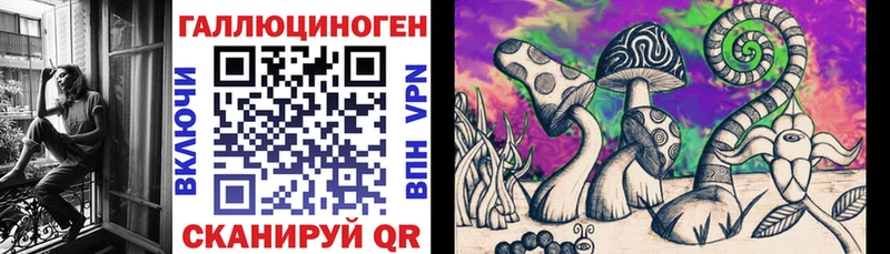 KRAKEN как войти  даркнет сайт  Буй  Псилоцибиновые грибы прущие грибы 